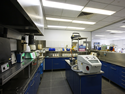 Laboratory Work